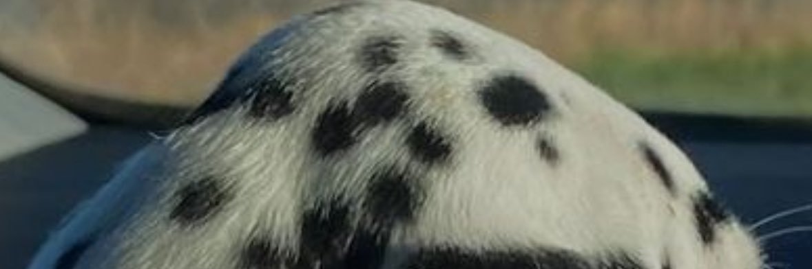 Dc_PonyHD's profile banner image