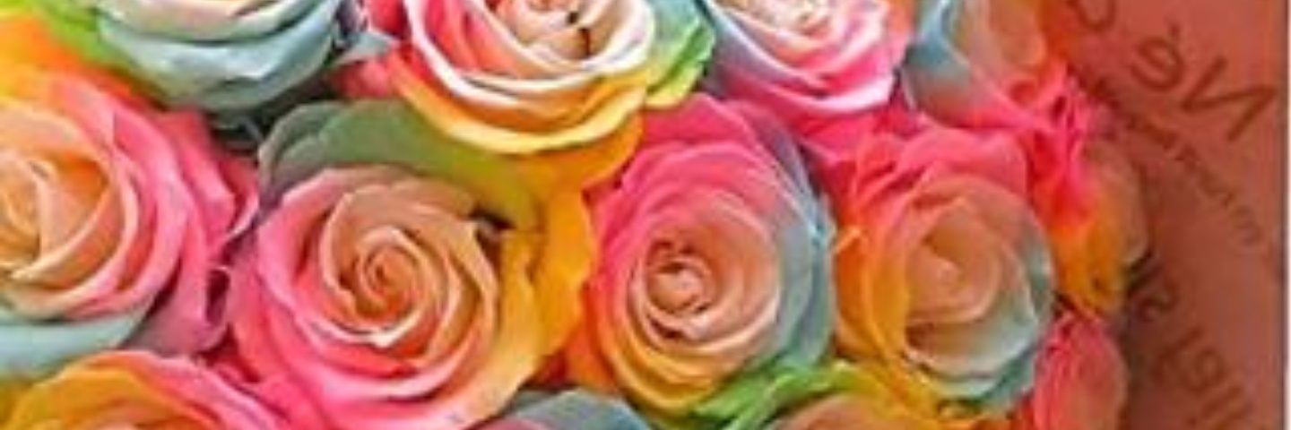 dream40152's profile banner image