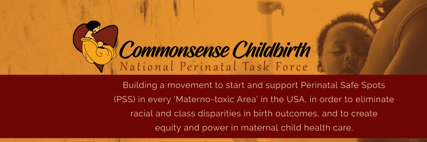 Perinatal Task Force banner