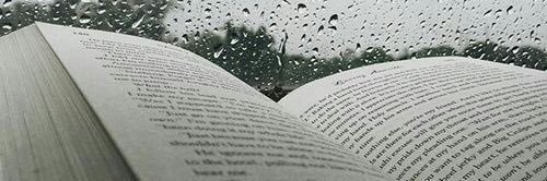 imsoocurly's profile banner image