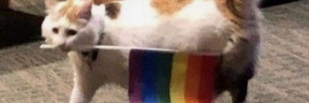 Aqueerius101's profile banner image
