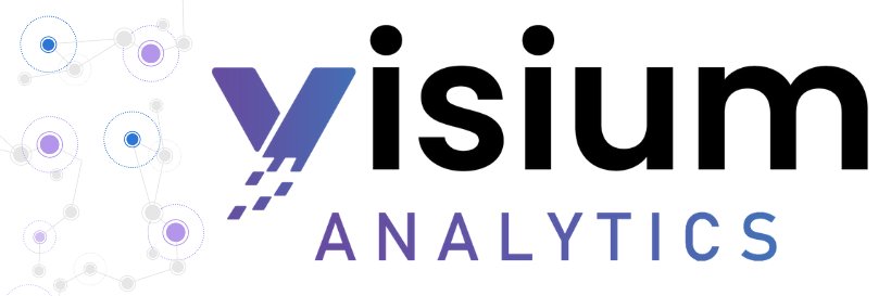 Visium Analytics, LLC banner