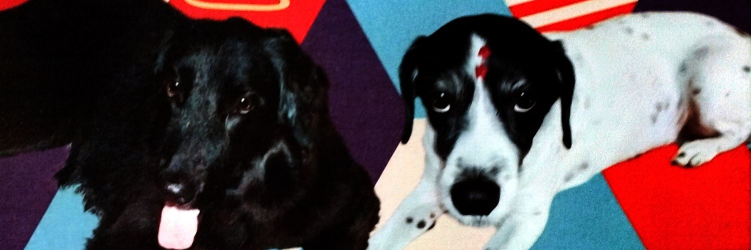 sullivanramalho's profile banner image
