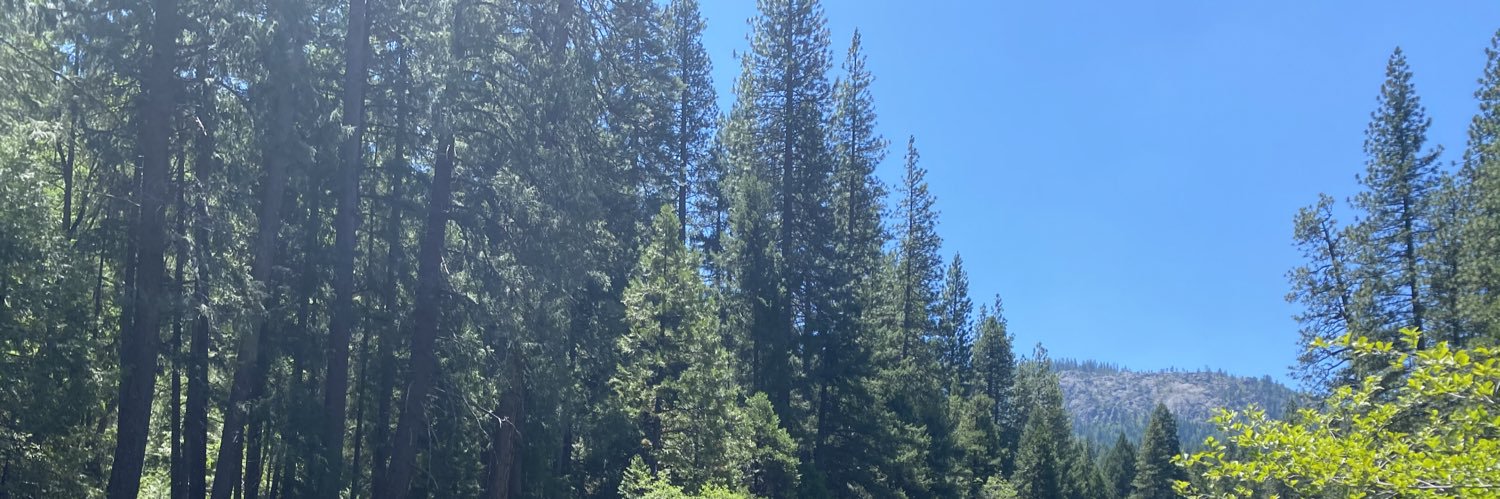 JamilaxD's profile banner image