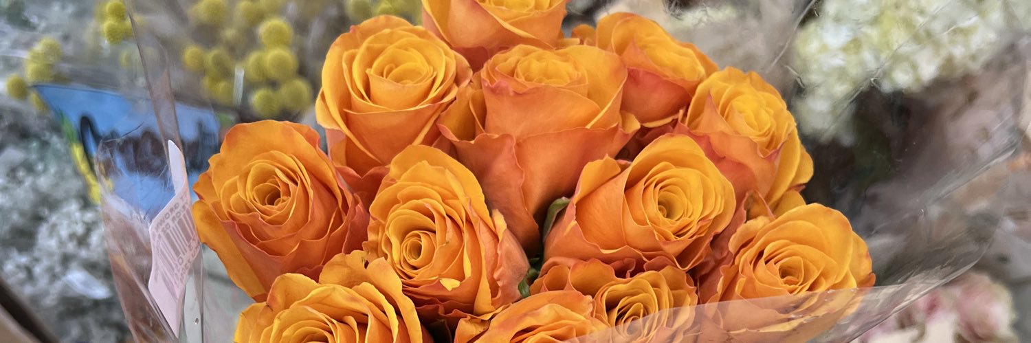 ℛ banner