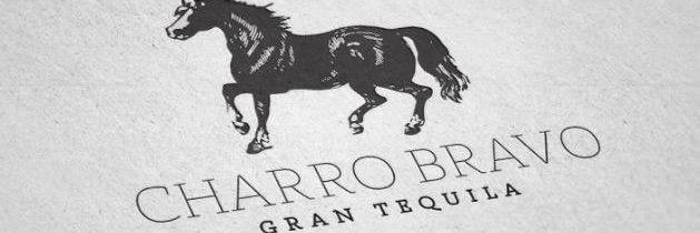 charrobravoteq's profile banner image