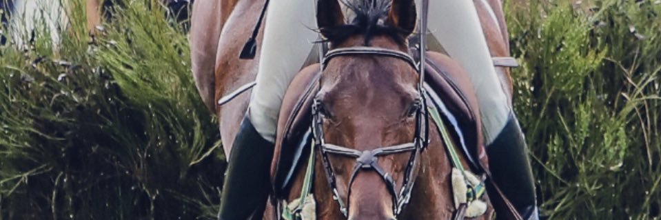 Erika Graff🇺🇸🐎🌞🌊's banner