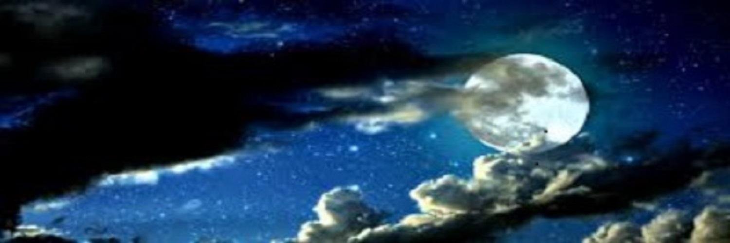 irenereed105's profile banner image