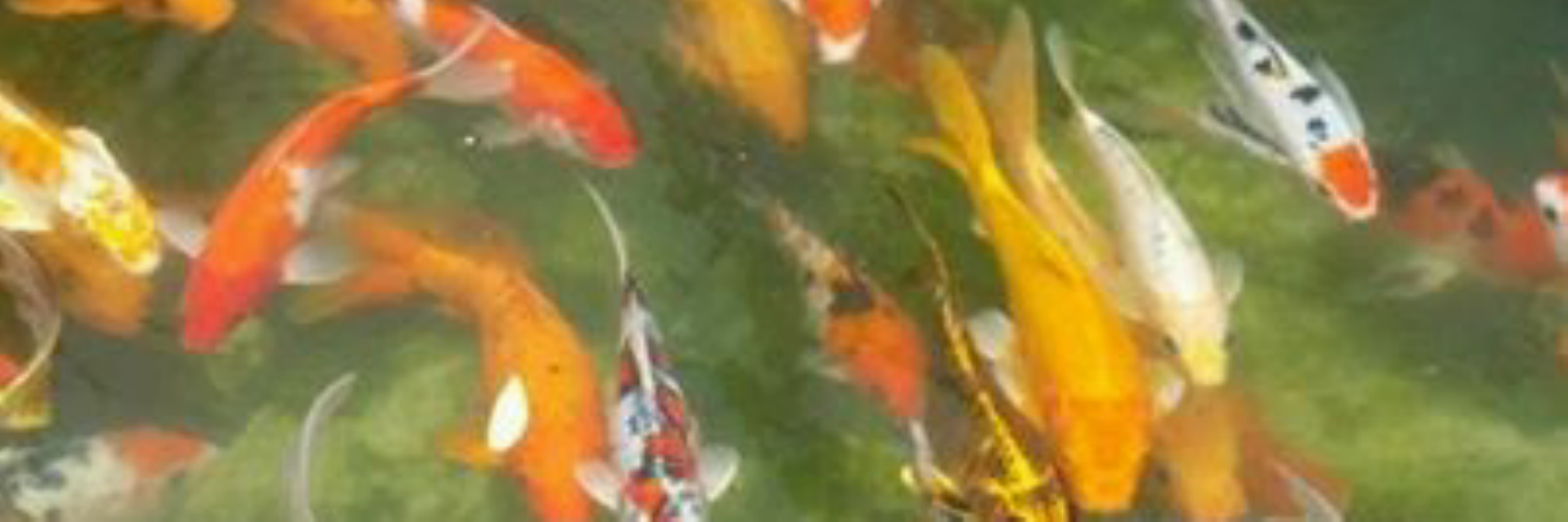ricsim2's profile banner image