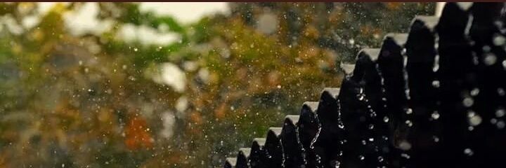 niloy259's profile banner image