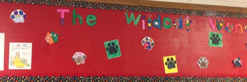 WildcatWonders's profile banner image