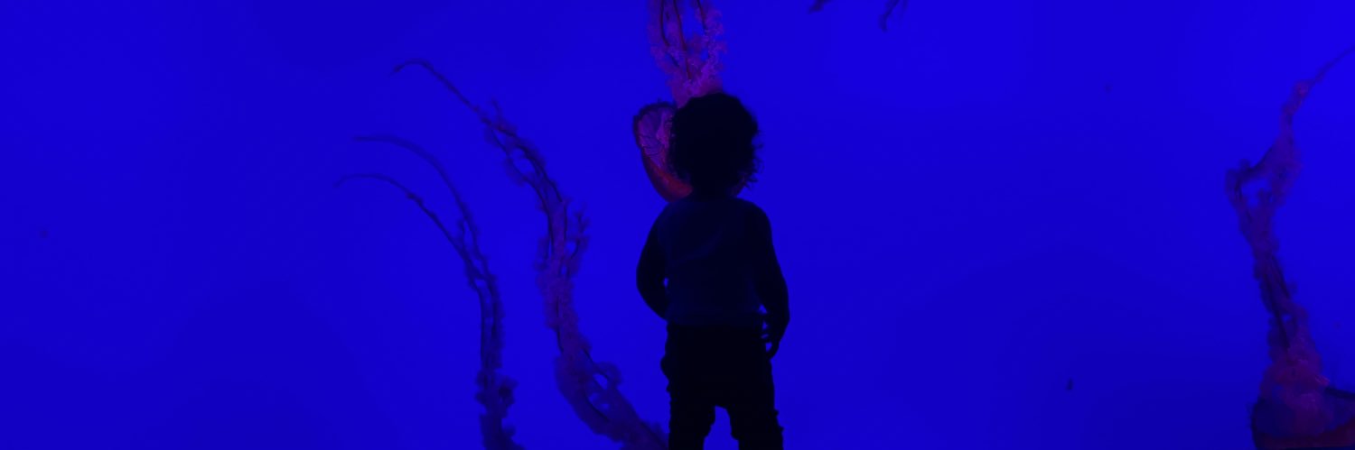 andreapplonka's profile banner image