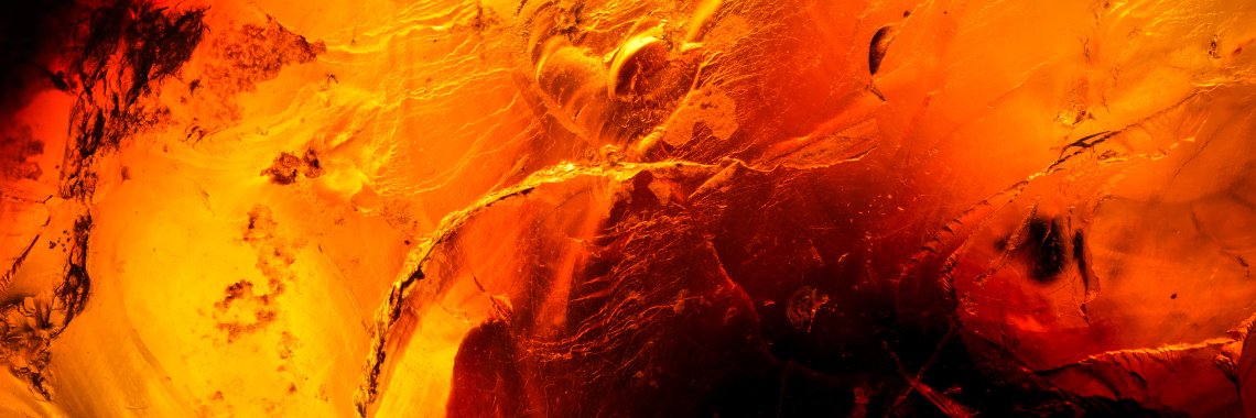 LSUScreenArts's profile banner image