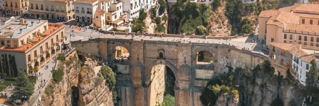 Dutchbazz 🇪🇺🇳🇱 banner