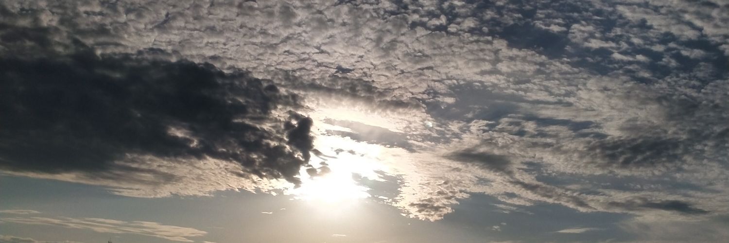 OlgaVlasenko_82's profile banner image