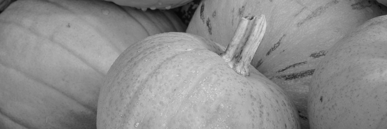 365Pumpkin's profile banner image