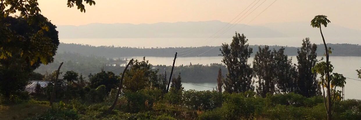 osbdisnw's profile banner image