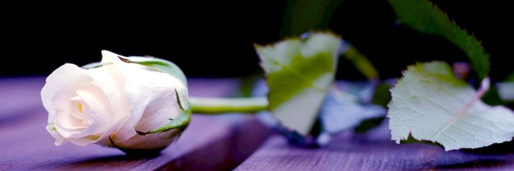 wmhd1122's profile banner image