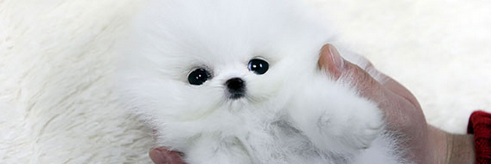 AnneBoetie's profile banner image