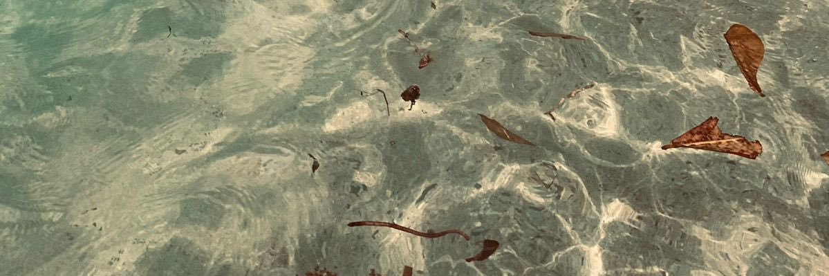 steph_rcm's profile banner image