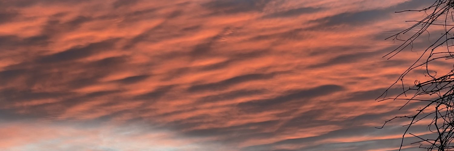 Deborah Dockery banner