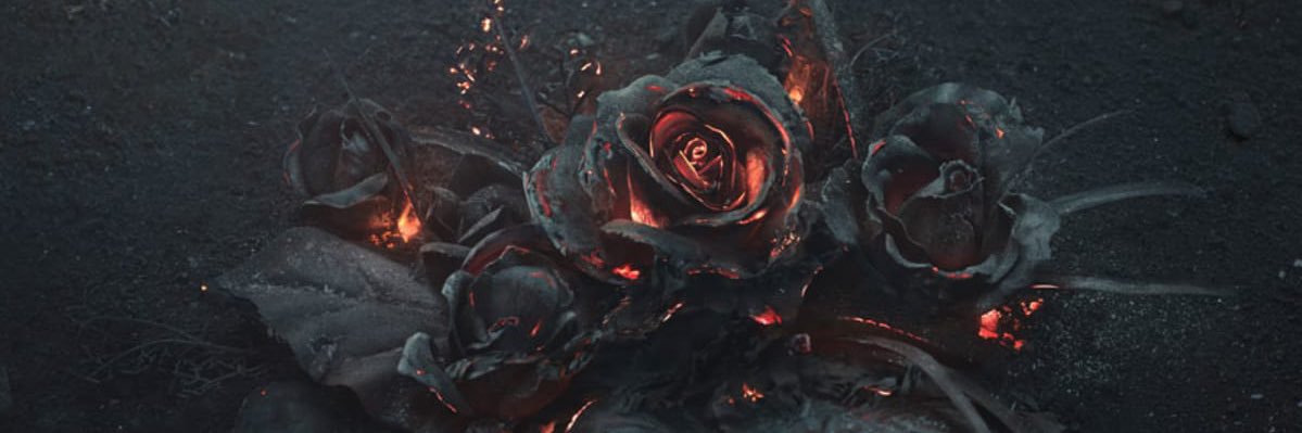 NicholasJrTCM's profile banner image