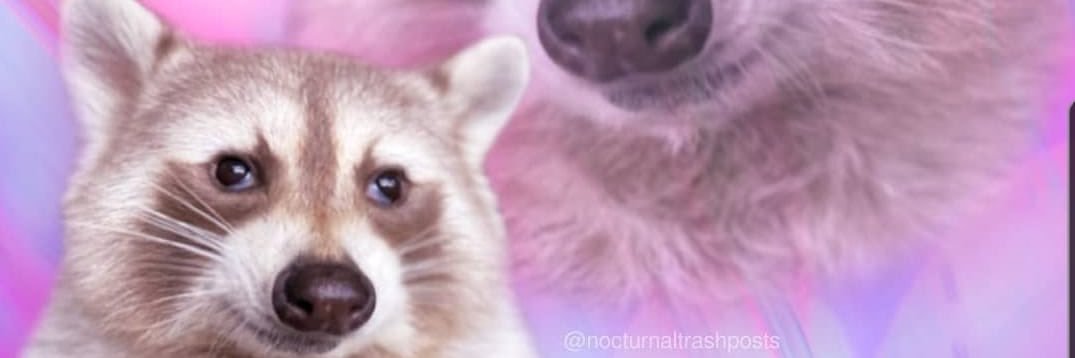 minknfts's profile banner image
