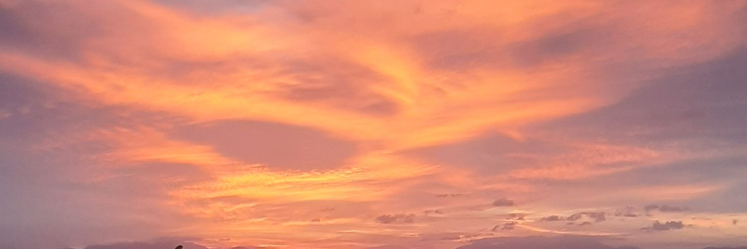 pfestersaraiva's profile banner image