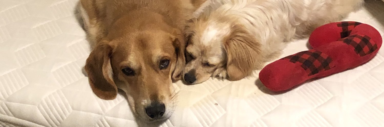 B_B_Y's profile banner image