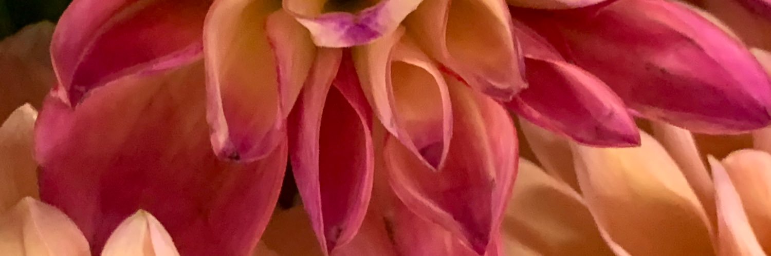 bstramp's profile banner image