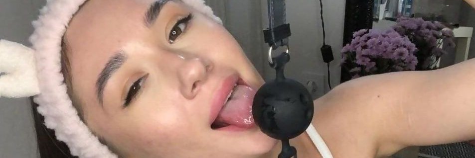 LaraWren2's profile banner image