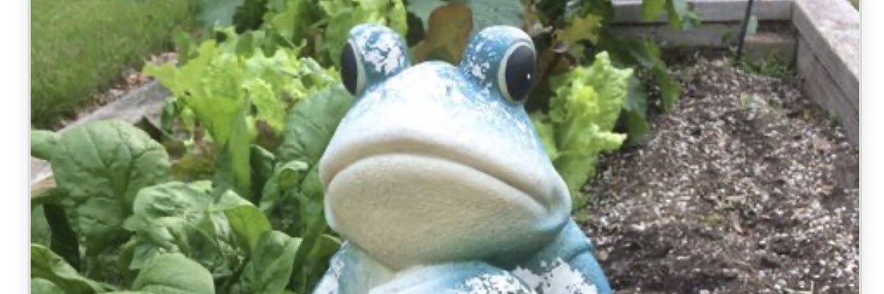forgetmenot1230's profile banner image