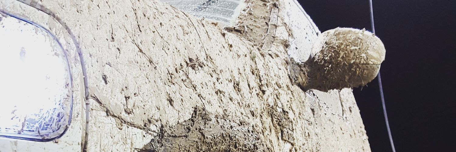 AustinMfMurray_'s profile banner image