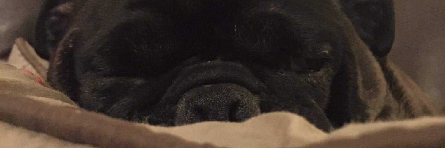LisaNiblock's profile banner image