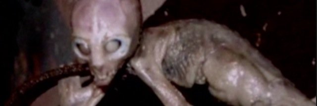 CrazyWeirdPics's profile banner image