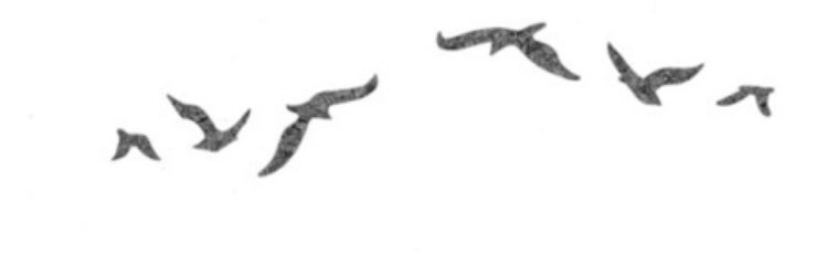 ebraheem_91's profile banner image