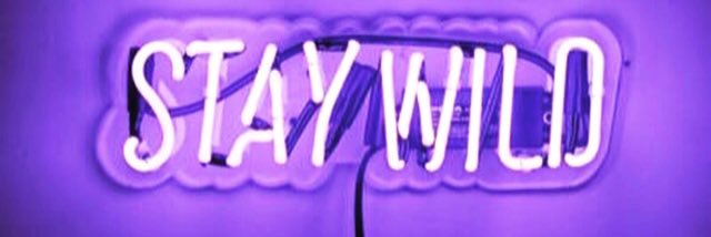 MerryB banner