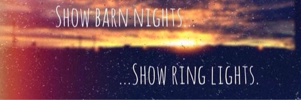 ThatShowChick's profile banner image