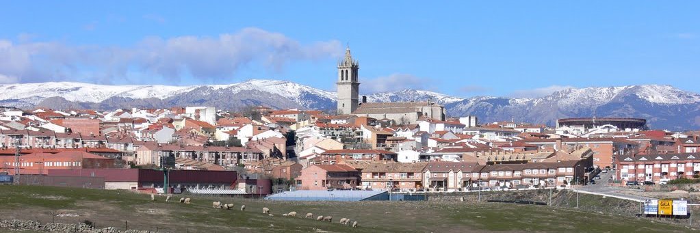 PSOE Colmenar Viejo banner
