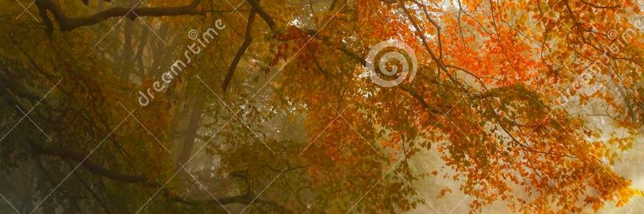 KevinKerrSongs's profile banner image