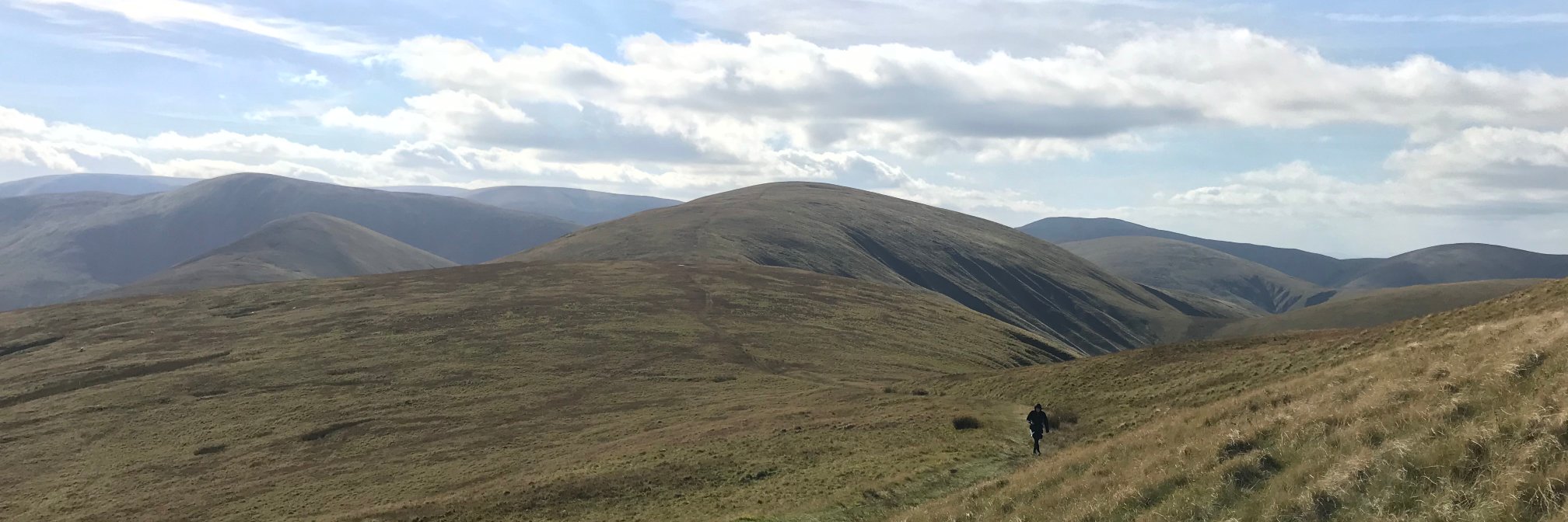 Phoebe Weston banner