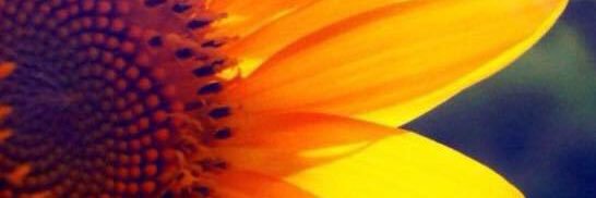 _myorangebubble's profile banner image