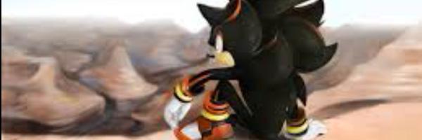 SLH_Shonic Profile Banner