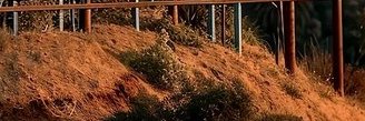 gravestoneharry's profile banner image