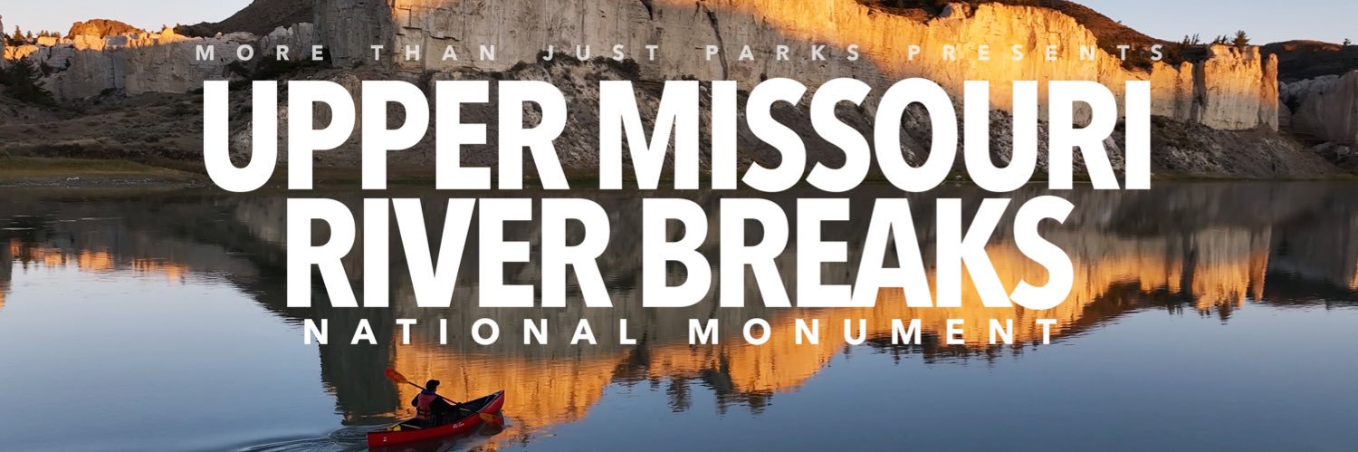 More Than Just Parks banner