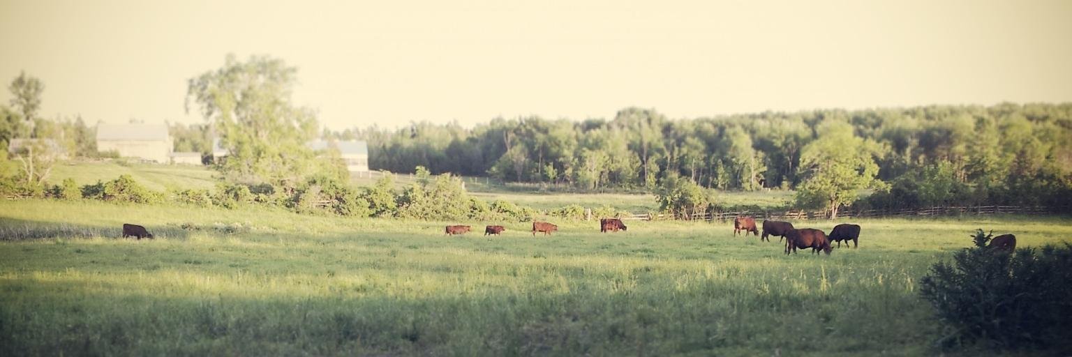 HawthorneFarm's profile banner image