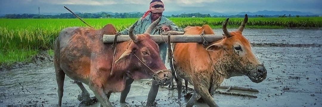 ৰমেন ধন ডেকা 𝓡𝓪𝓶𝓮𝓷 𝓓𝓱𝓪𝓷 𝓓𝓮𝓴𝓪 banner