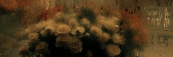 _laura_aa123's profile banner image