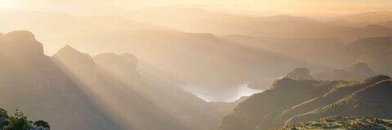 Carrie Langdon banner