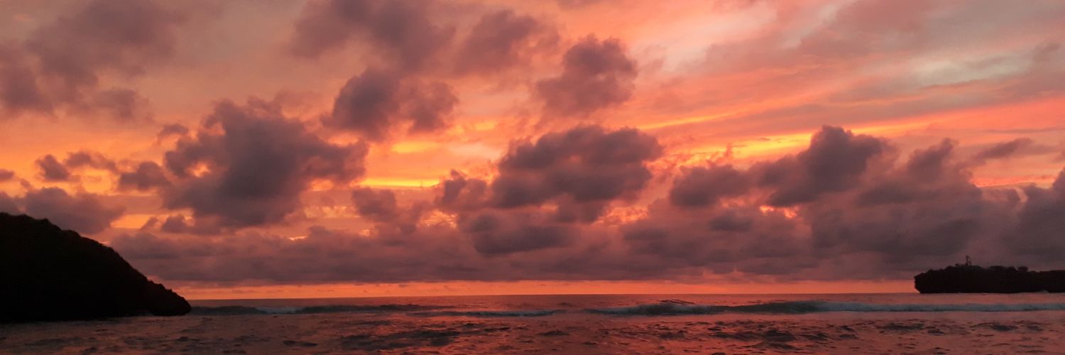 panjulodon's profile banner image